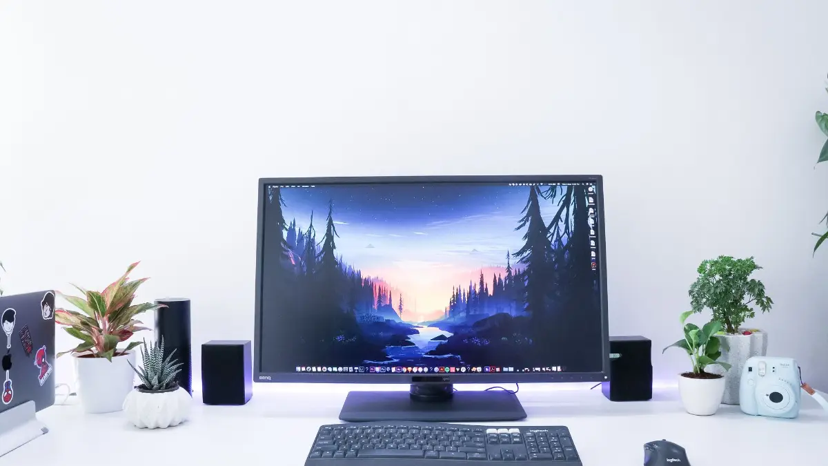 Trex IPTV op een Windows pc met groot beeldscherm